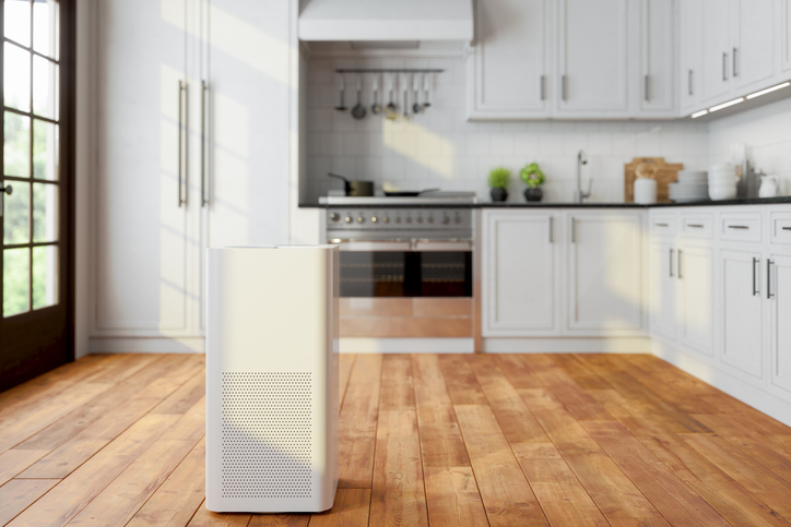 Why Allergy Sufferers Should Invest in an Air Purification Service